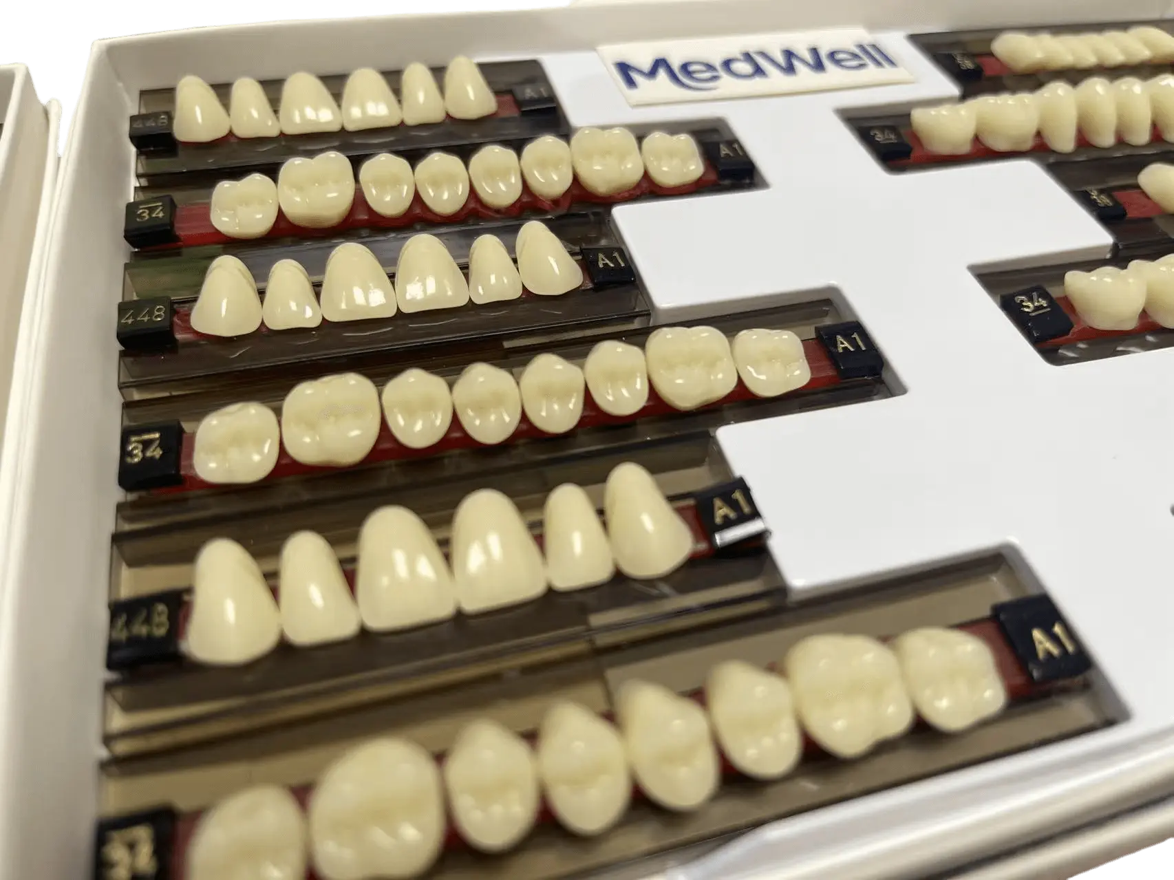 Resin Denture Type 1