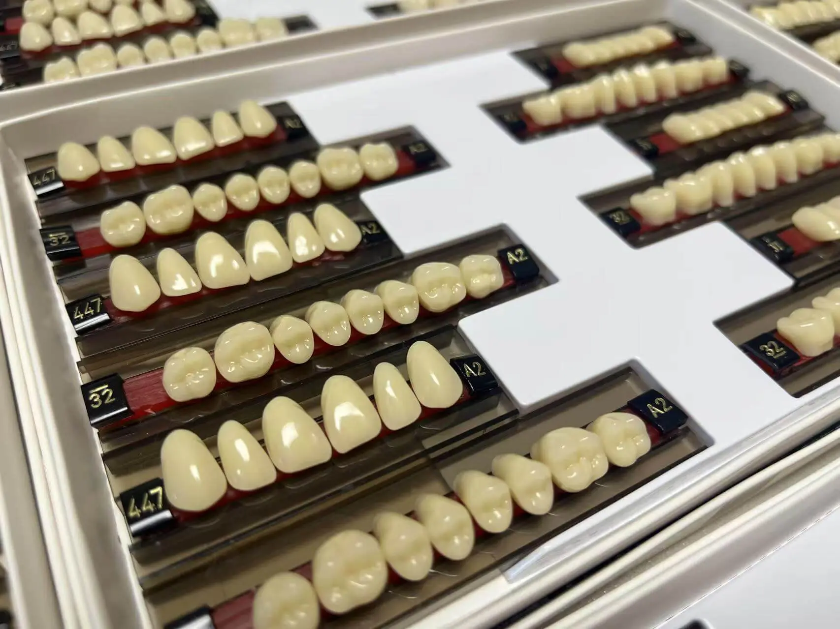 Resin Denture Type 2